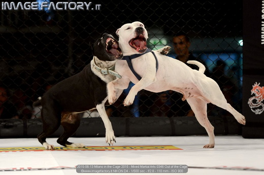 2015-06-13 Milano in the Cage 2015 - Mixed Martial Arts 0346 Out of the Cage